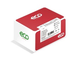 F T4 Livre - 20 Testes - Eco