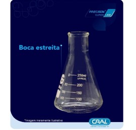Erlenmeyer De Vidro Boca Estreita - 300 Ml - Cral