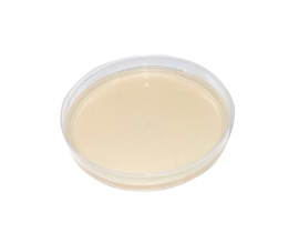 Agar Pca ( Plate Count Rodac Agar) 60 X 10 Mm - 10 Placas - 20 Ml - Laborclin