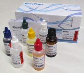 Reticulina - Histokit para 60 Colorações - Easypath