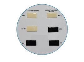 Carbapenembac - Probac