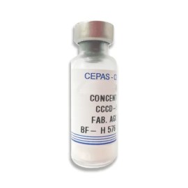 Cepas Microbianas Liofilizadas - Streptococcus Pyogenes - S012