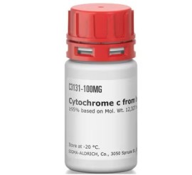 Cytochrome C From Bovine Heart 95% - 10 Mg - Sigma