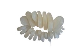 Discos Intervertebrais Em Nylon, 23 Peças - Cl71