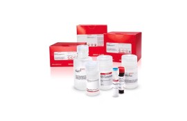 Frap - Ferric Reducing Antioxidant Power Assay Kit - 1 Kit Para 250 Testes Colorimétricos - Sigma