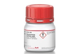 Gentamicina (Gentiomicina C) - 50 Mg - Sigma