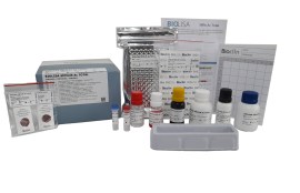 Biolisa Sífilis Ac Total 96 Testes - Bioclin