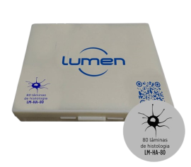 Conjunto Laminas Histologia Animal - 80 Lâminas - Lm-Ha-80 - Lumen