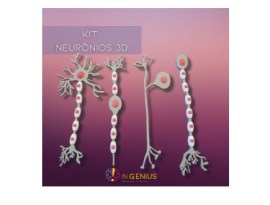 Kit Neurônios 3d