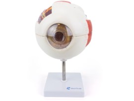 Olho Ampliado 6 Vezes, 6 Partes - Ol10