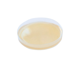 Agar Mycosel 90 X 15 Mm - 10 Placas - Newprov