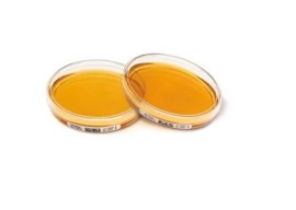 Agar Tsa Para Contato - 60 X 10 Mm - 5 Placas - Newprov