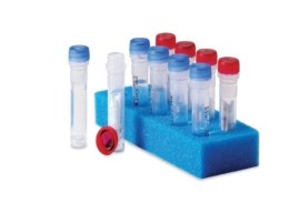 Cepa Clostridium Perfringens Atcc® 13124 - 1 X 5 Culti-Loops