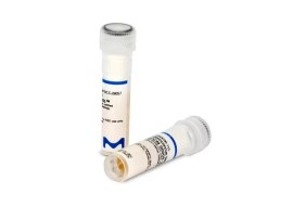 Listeria Monocytogenes Serovar 1/2a Wdcm 00109 Vitroids™ Atcc® 35152 (Package Of 10 Discs) - Sigma