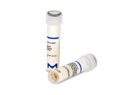 Staphylococcus Epidermidis Wdcm 00036 Vitroids™ (Package Of 10 Discs) - Sigma