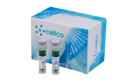 Taq Pol - Master Mix (2x) Green -1.000 Rxn - Biotec