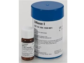 Dnase I, Grade Ii, From Bovine Pancreas - 100 Mg - Roche